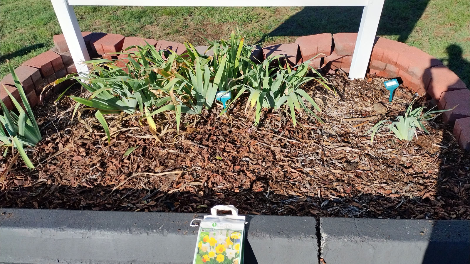 Fall cleanup - Oct 19, 2025