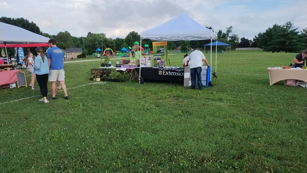 Nixa Movie in the Park - Jun 28, 2025